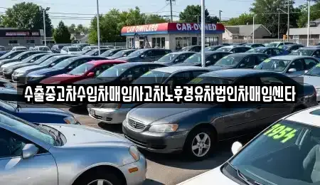 제주 서귀포시 신효동 중고차매입 전문 수출중고차수입차매입사고차노후경유차법인차매입센타