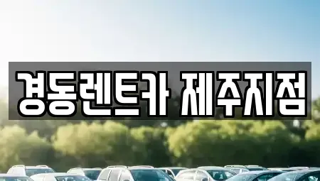 제주 장기렌트카 전문 경동렌트카 제주지점