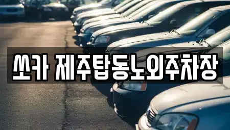 제주 제주시 건입동 렌트카 전문 쏘카 제주탑동노외주차장