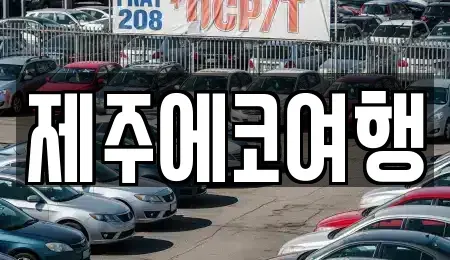 제주 제주시 건입동 렌트카 전문 제주에코여행