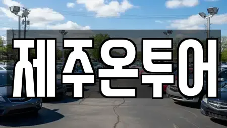 제주 제주시 건입동 렌트카 전문 제주온투어