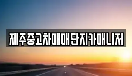 제주 제주시 건입동 중고차매매 전문 제주중고차매매단지카매니저