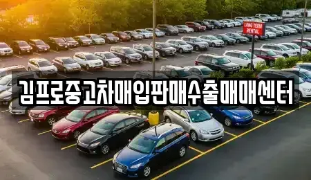제주 제주시 건입동 중고차매입 전문 김프로중고차매입판매수출매매센터