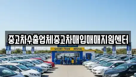 제주 제주시 건입동 중고차매입 전문 중고차수출업체중고차매입매매지원센터