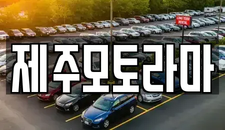 제주 중고차 전문 제주모토라마