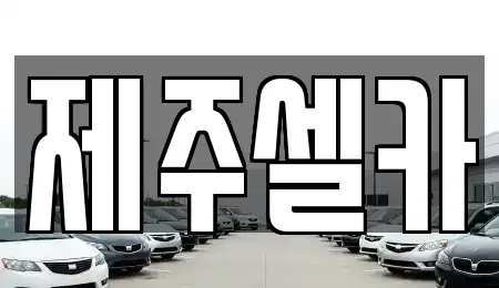 제주 중고차 전문 제주셀카