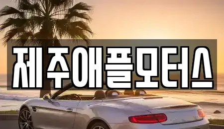 제주 중고차 전문 제주애플모터스