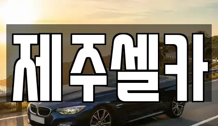제주특별자치도 제주시 도련일동 중고차 전문 제주셀카