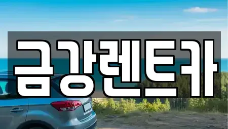 제주특별자치도 제주시 삼도일동 렌트카 전문 금강렌트카