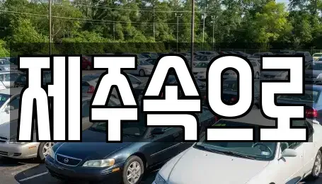 제주특별자치도 제주시 삼도일동 렌트카 전문 제주속으로