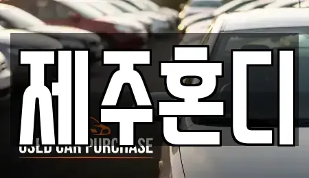 제주특별자치도 제주시 삼도일동 렌트카,단기렌트카,장기렌트카,중고차,중고차매매,중고차매입