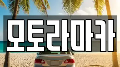 제주특별자치도 제주시 삼도일동 중고차 전문 모토라마카