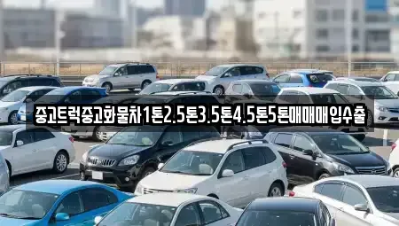 제주특별자치도 제주시 삼도일동 중고차 전문 중고트럭중고화물차1톤2.5톤3.5톤4.5톤5톤매매매입수출