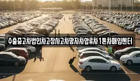 제주특별자치도 제주시 한경면 중고차매매,단기렌트카,중고차매입,장기렌트카,중고차,렌트카