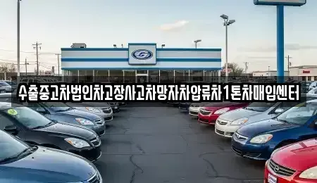 제주특별자치도 제주시 한경면 단기렌트카,중고차매입,중고차매매,중고차,렌트카,장기렌트카