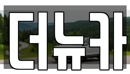 충남 공주시 봉황동 렌트카 전문 더뉴카