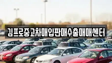 충남 공주시 봉황동 중고차 전문 김프로중고차매입판매수출매매센터
