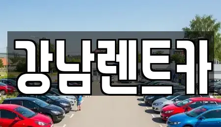 충남 금산군 진산면 렌트카 전문 강남렌트카