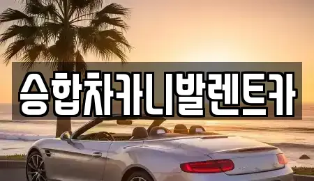 충남 금산군 진산면 렌트카 전문 승합차카니발렌트카