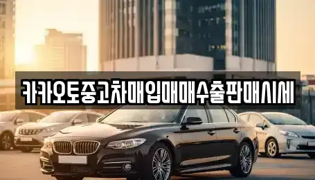 충남 금산군 진산면 중고차매매 전문 카카오토중고차매입매매수출판매시세