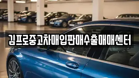 충남 논산시 부창동 중고차 전문 김프로중고차매입판매수출매매센터