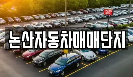 충남 논산시 은진면 중고차 전문 논산자동차매매단지