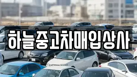 충남 당진시 우두동 중고차매입 전문 하늘중고차매입상사