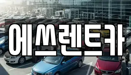충남 보령시 성주면 렌트카 전문 에쓰렌트카