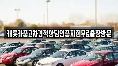 충남 보령시 성주면 중고차매매 전문 캐롯카중고차견적상담인증지점무료출장방문