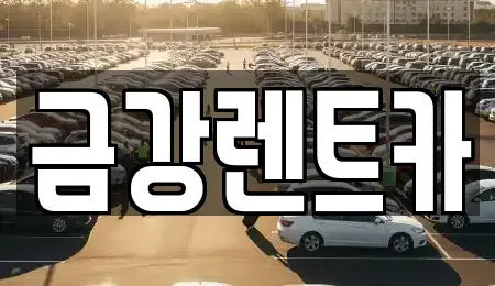 충남 서산시 성연면 렌트카 전문 금강렌트카