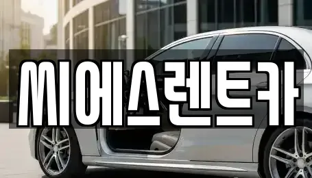 충남 서산시 성연면 렌트카 전문 씨에스렌트카