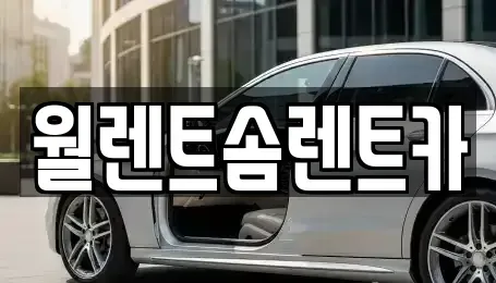 충남 아산시 좌부동 렌트카 전문 월렌트솜렌트카