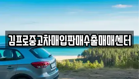 충남 예산군 삽교읍 중고차매입 전문 김프로중고차매입판매수출매매센터