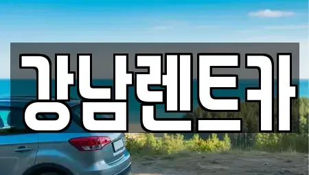 충북 옥천군 군서면 렌트카 전문 강남렌트카