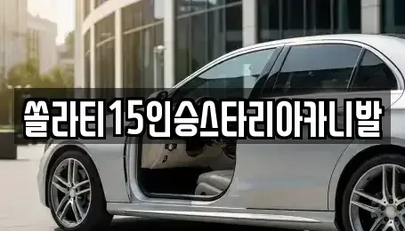 충북 제천시 명동 렌트카 전문 쏠라티15인승스타리아카니발