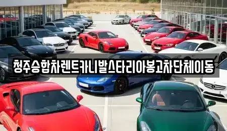 충북 청주시 상당구 낭성면 렌트카 전문 청주승합차렌트카니발스타리아봉고차단체이동