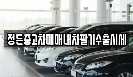 충북 청주시 상당구 낭성면 중고차 전문 정든중고차매매내차팔기수출시세