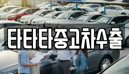 충북 청주시 상당구 낭성면 중고차 전문 타타타중고차수출