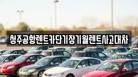 충북 청주시 상당구 석교동 렌트카 전문 청주공항렌트카단기장기월렌트사고대차