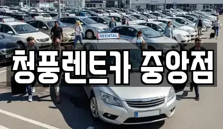 충북 청주시 상당구 용정동 렌트카 전문 청풍렌트카 중앙점