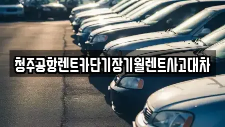 충북 청주시 상당구 용정동 장기렌트카 전문 청주공항렌트카단기장기월렌트사고대차