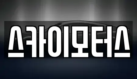 충북 청주시 상당구 용정동 중고차 전문 스카이모터스