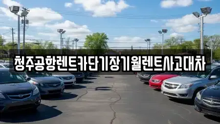 충북 청주시 상당구 탑동 장기렌트카 전문 청주공항렌트카단기장기월렌트사고대차