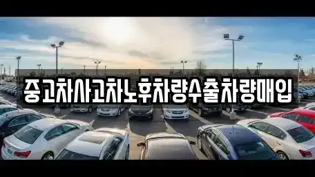 충북 청주시 상당구 탑동 중고차 전문 중고차사고차노후차량수출차량매입