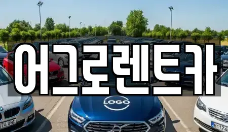 충북 청주시 상당구 평촌동 렌트카 전문 어그로렌트카