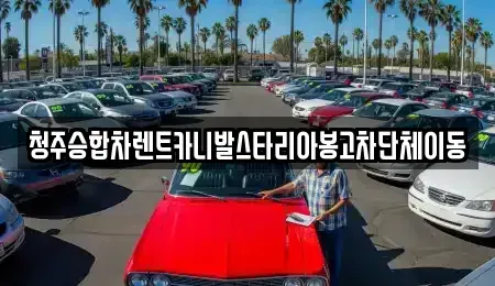 충북 청주시 상당구 평촌동 렌트카 전문 청주승합차렌트카니발스타리아봉고차단체이동