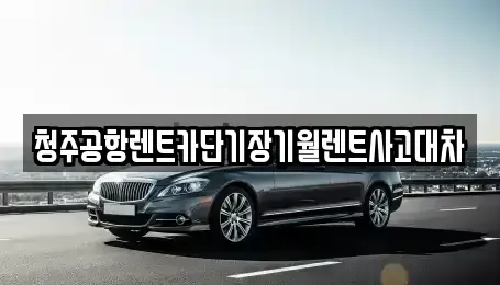 충북 청주시 서원구 모충동 단기렌트카 전문 청주공항렌트카단기장기월렌트사고대차