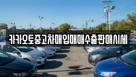 충북 청주시 서원구 모충동 중고차매입 전문 카카오토중고차매입매매수출판매시세