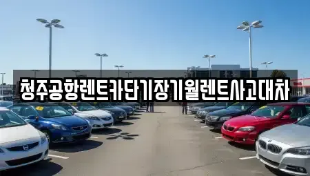 충북 청주시 흥덕구 평동 단기렌트카 전문 청주공항렌트카단기장기월렌트사고대차