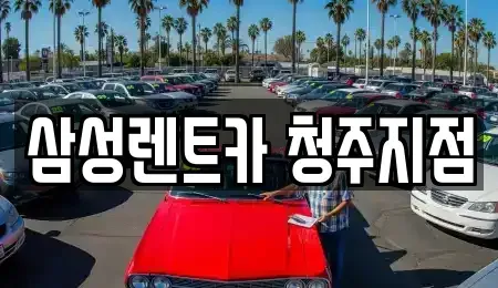 충북 청주시 흥덕구 평동 렌트카 전문 삼성렌트카 청주지점